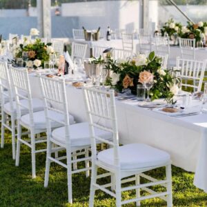 Rectangular tables with Tifanny Chairs