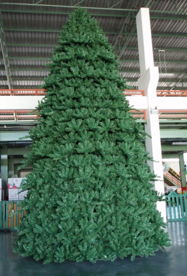 Christmas Trees