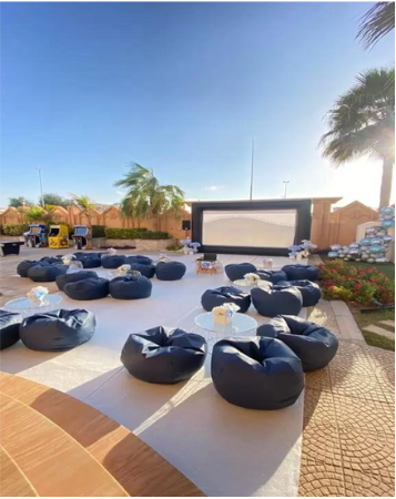 Cinema Screen Option 1