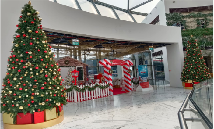 Christmas Trees and Christmas decor
